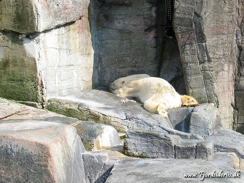 KBH zoo 190703 308.JPG